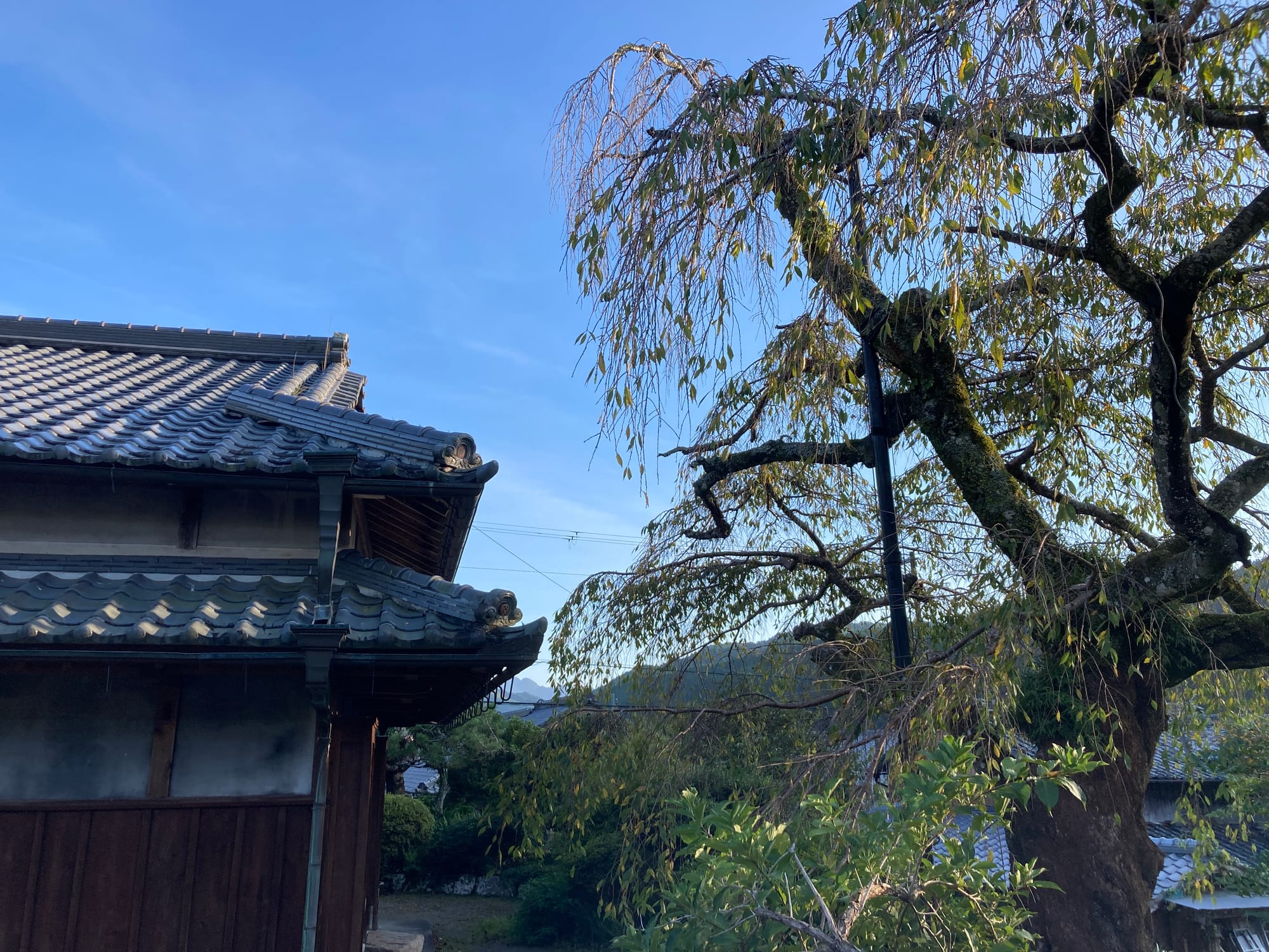 Immersion in a Guesthouse on a Pilgrimage Route in Japan