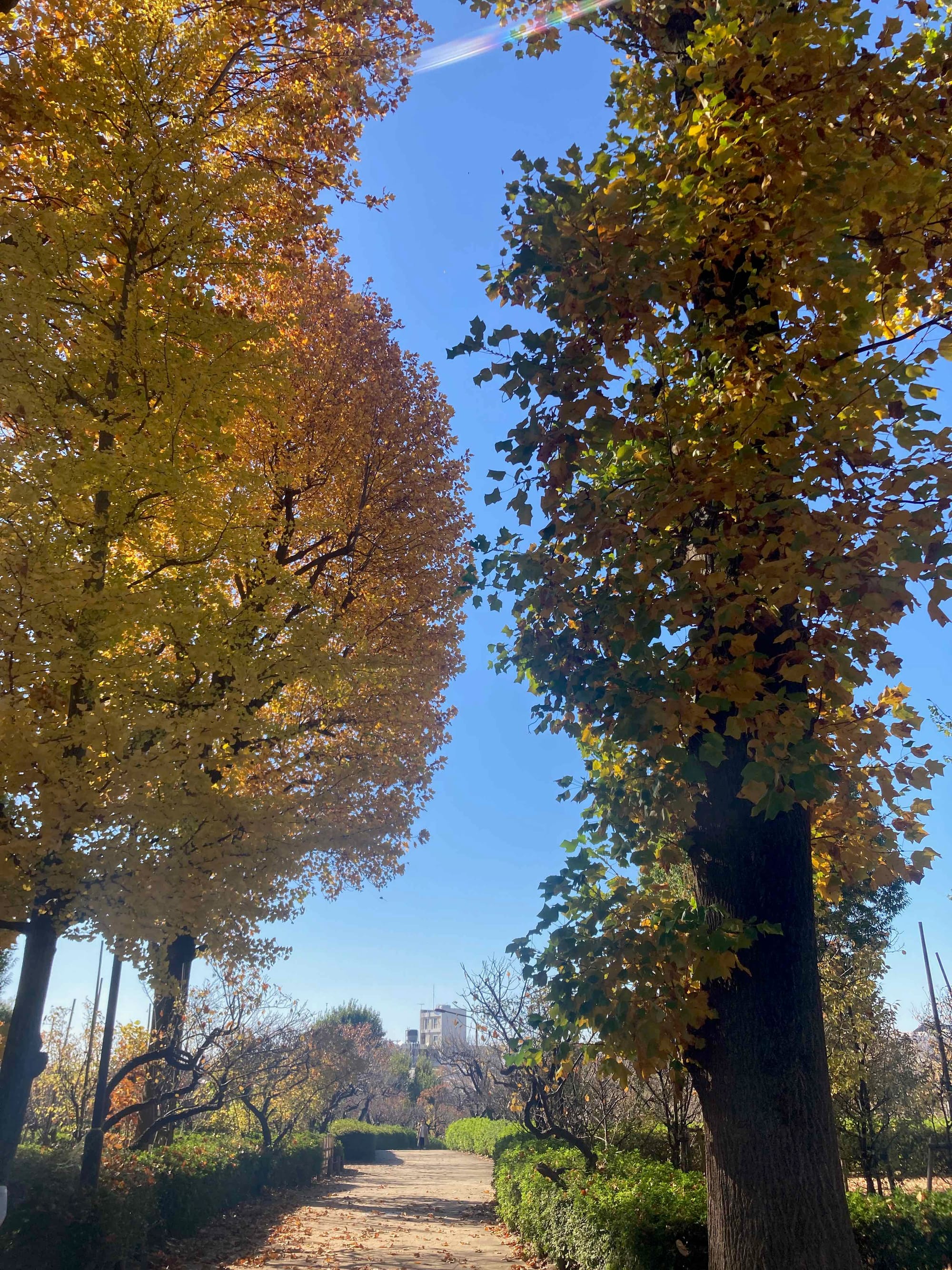 Tokyo bike explorer n°2