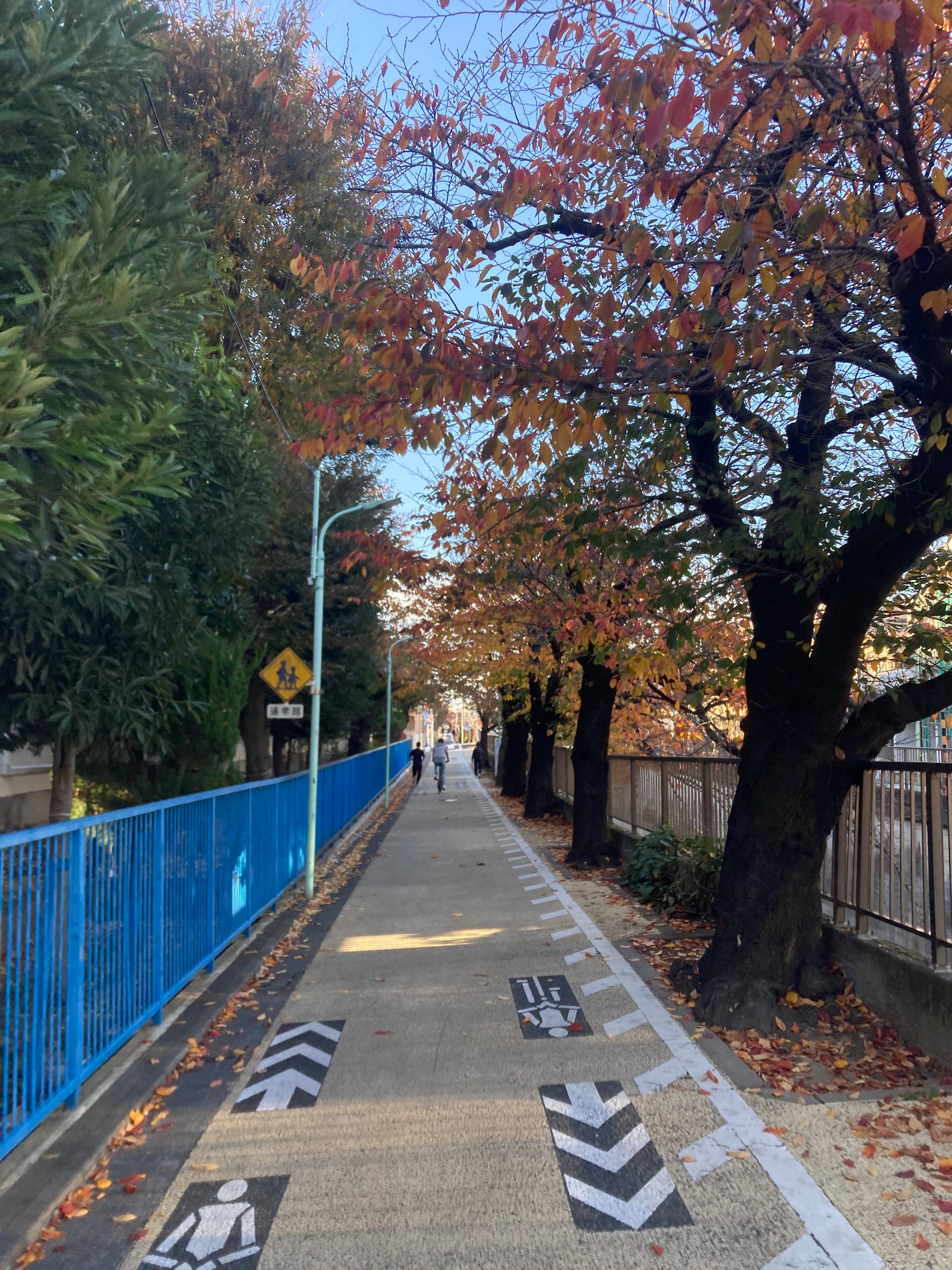 Tokyo bike explorer n°3