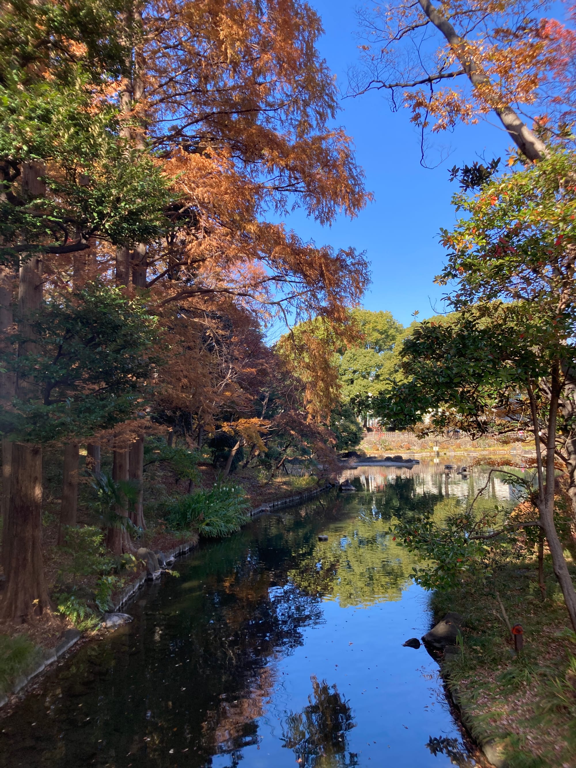 Tokyo bike explorer n°4