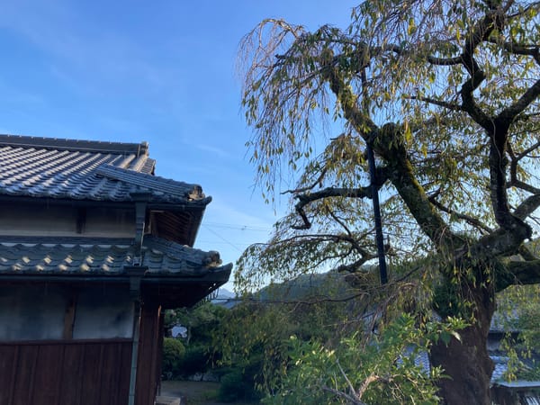 Immersion in a Guesthouse on a Pilgrimage Route in Japan