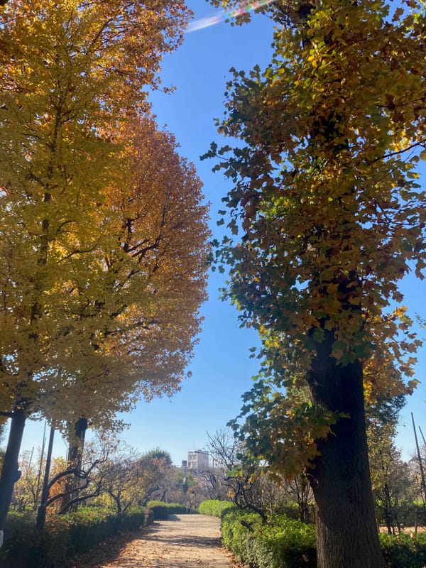 Tokyo bike explorer n°2