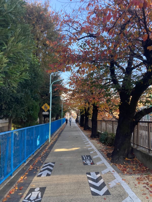 Tokyo bike explorer n°3